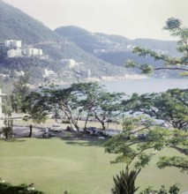 Hotel gardens view coast, Repulse Bay, Hong Kong, Asia, 1965