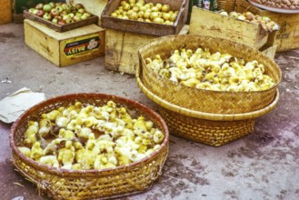 Yellow ducklings in baskets for sale at street market, Castle Peak, New Territories, Hong Kong,