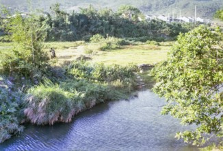 A quite country river at Sai Kung, New Territories, Hong Kong, Asia 1965