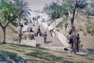 Captioned as 'Sunday relaxation, Botanical Gardens, Mid Levels', Hong Kong, Asia, 1965