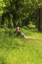 Person sitting on a bench at the edge of a green forest and relaxing, Alpe di Siusi, Dolomites,