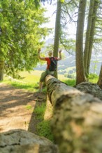 Person raises his arms next to a fallen tree trunk in the forest, Alpe di Siusi, Dolomites, South