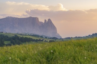 Mountain silhouettes in the evening light over a wide meadow, Alpe di Siusi, Dolomites, South