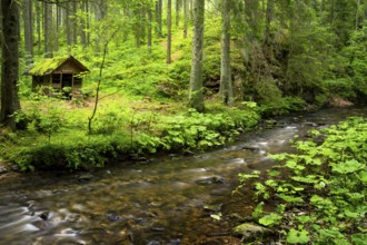 The Rötenbachschluchthütte in the forest, with moss on the roof. In front of it the Rötenbach with