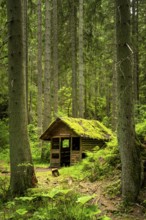 The Rötenbachschluchthütte in the forest, with moss on the roof, Rötenbachschlucht, Upper Black