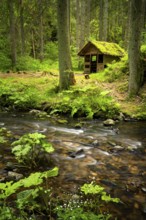 The Rötenbachschluchthütte in the forest, with moss on the roof. In front of it the Rötenbach with
