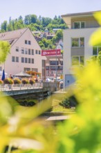 View of a town on a river with a bridge and lush summer greenery around the buildings, 950 years of