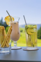 Two cocktails with decorative lemon and mint decorations in front of a summery landscape, Alpe di