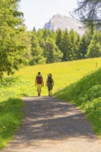 Two hikers on a sunny path in a green landscape surrounded by mountains, Alpe di Siusi, Dolomites,