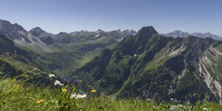 Mountain panorama with various mountain flowers from the Laufbacher-Eckweg into the rear Oytal with
