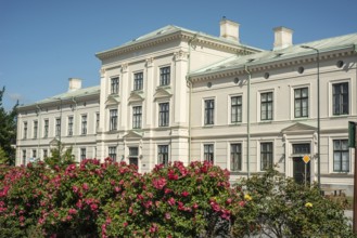 Old apartment house, built 1875, behind roses in Ystad, Skåne County, Sweden, Scandinavia