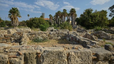 Dilapidated stone walls and ancient palm trees under a blue sky in an ancient ruins landscape,