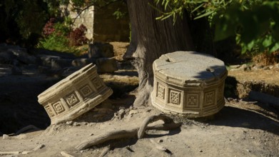 Two engraved stone cylinders resting in the shade of a tree in an ancient ruins site, Ancient