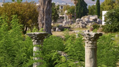 Two ornate ancient columns rise out of lush green foliage in a landscape of ruins, Ancient Agora,