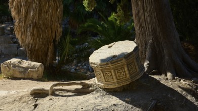 An old, dilapidated stone cylinder lies in the sunshine next to a tree, Ancient Agora, Kos Town,