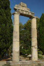 Free-standing ancient columns surrounded by dense vegetation, Ancient Agora, Kos Town, Kos,