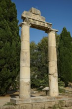 Free-standing ancient columns in front of a deep blue sky and trees, Ancient Agora, Kos Town, Kos,