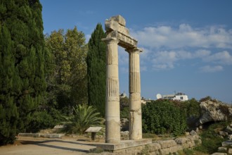 Ancient columns against a blue sky, surrounded by lush vegetation, Ancient Agora, Kos Town, Kos,