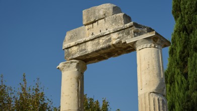 Ancient stone columns against a blue sky, surrounded by trees, Ancient Agora, Kos Town, Kos,