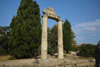 Ancient columns in a green setting with plants and play of light, Ancient Agora, Kos Town, Kos,