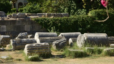Cylindrical ancient stones lie on grassy ground surrounded by ivy, Ancient Agora, Kos Town, Kos,