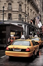 Yellow Caps, New York taxis in the rain, New York City, USA