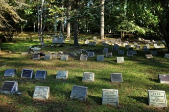 Dog cemetery in a wooded area, Blairstown, New Jersey, USA