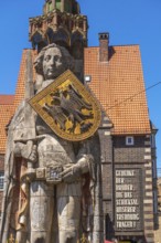 Roland statue on the market square in front of the German House, symbol of medieval urban market