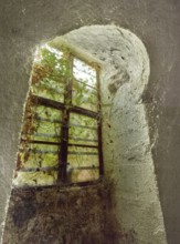Basement window in abandoned cellar, covered with cobwebs and dried ivy