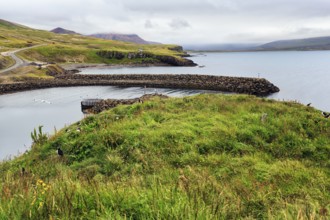 Meadow on bird cliff, coastline, Borgarfjarðarhöfn near Bakkagerði, Bakkagerdi, Borgarfjörður