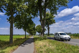 Country road south of Kampen, on the Lower Rhine, with side cycle and footpath, North