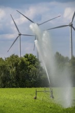 Artificial irrigation with a sprinkler system in a field where carrots are grown, wind farm, near