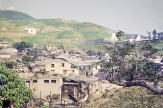Captioned as 'Dairy farm country and farms', Pok Fu Lam, Hong Kong, Asia 1964