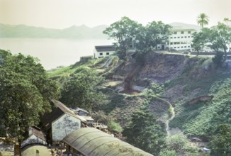 Captioned as 'Dairy farm', Pok Fu Lam, Hong Kong, Asia 1964