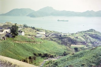 Captioned as 'Dairy farm and water tanker ship', Pok Fu Lam, Hong Kong, Asia 1964