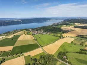 Luftbild vom Bodensee mit der Ortschaft Hödingen, umgeben von erntereifen Getreidefeldern, links am