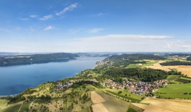 Luftbild, Panorama vom Bodensee mit der Ortschaft Hödingen, umgeben von erntereifen