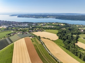 Luftbild, Panorama von erntereifen Getreidefeldern, links die Stadt Überlingen am Bodensee, am