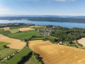 Luftbild vom Bodensee mit der Ortschaft Hödingen, umgeben von erntereifen Getreidefeldern, am