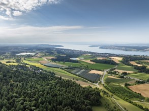 Luftbild vom Bodensee bei Überlingen mit erntereifen Getreidefeldern und Obstplantagen mit
