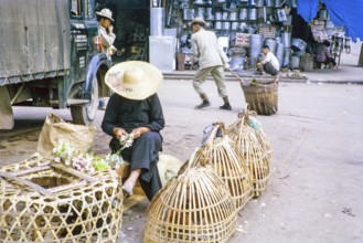 Woman selling chickens in baskets at street market, Tai Po, New Territories, Hong Kong, Asia, 1964