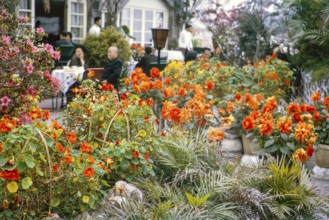 Restaurant at the Peak, Hong Kong, Asia, 1964