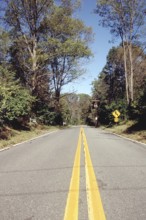 Double yellow line on a country road in New Jersey, USA