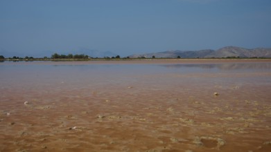 Expansive landscape with muddy shores and long stretches of water under a clear sky, salt lake,