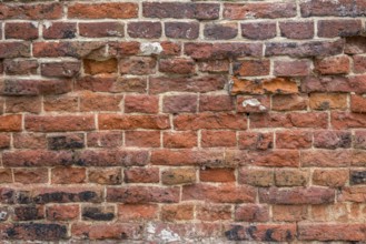 House wall, Brick wall, Brick wall, Bricks, Background, Texture, Netherlands