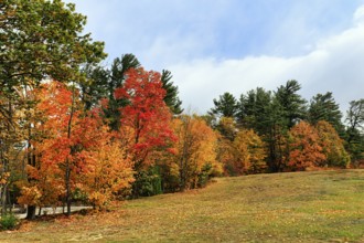 Fall leaves, Indian summer, sunny fall weather, North Conway, White Mountain, New Hampshire, New