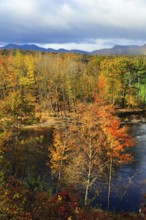Riverbank, riverfront, Saco River in Mount Washington Valley, fall leaves, Indian summer, sunny