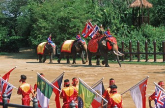 Performance with elephants at Samphran Elephant Ground and Zoo near Bangkok, Thailand, December