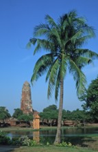 Pond, boat, palm tree, temple ruin in Ayutthaya, Thailand, December 2002, vintage, retro, old,