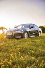 A black car is parked on a flowery meadow in warm evening light, BMW i7, Deer E-Carsharing, Calw,